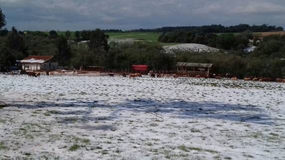 No interior de 

Tuparendi o temporal foi de grande intensidade