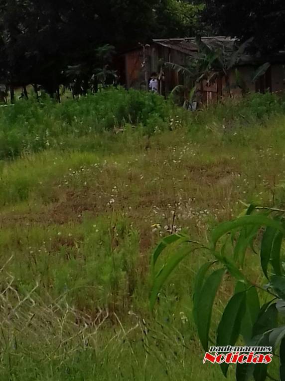 O suspeito seria um vizinho da vítima
