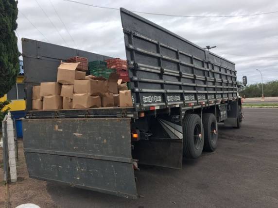 Caminhão transportava 960 kg do inseticida benzoato de emamectina