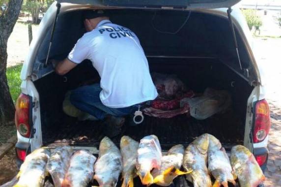 Foram apreendidos mais de 200 kg de peixes, mais de 550 kg 

de carne bovina e outros produtos vencidos