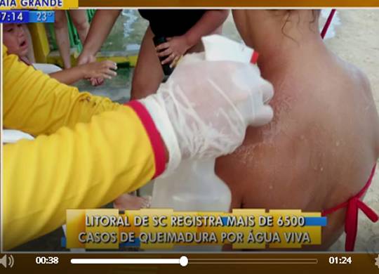 Bombeiros estudam sinalizar praias com ocorrências com bandeira lilás