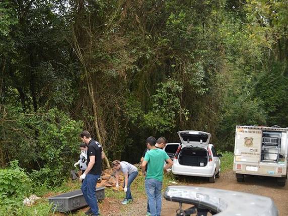 Trabalhador de pedreira viu as sacolas e chamou polícia, em Concórdia