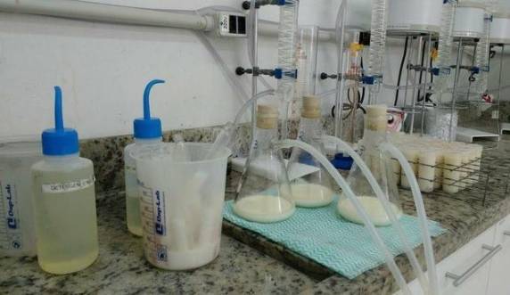 MP diz que indústrias tentavam mascarar que produtos eram impróprios