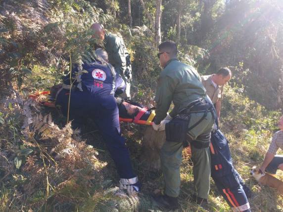 Vítima foi encontrada desacordada em mata próxima a uma caixa de abelha. Socorristas precisaram fazer trilha para resgatar o homem