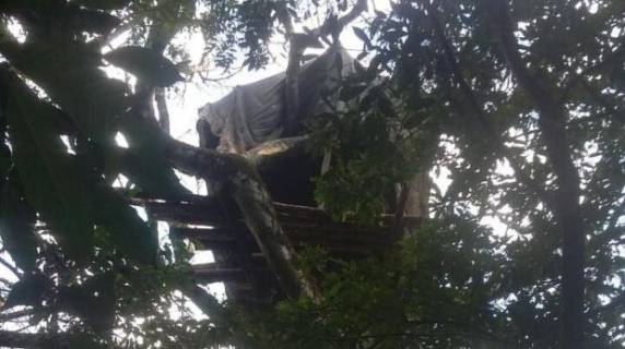 Local fica a 20 metros de altura e os policiais precisaram da ajuda dos bombeiros para escalar e fazer as apreensões