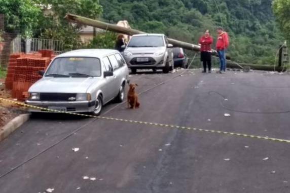 Forte vento derrubou poste, deixando fiação a uma altura mais baixa na rua