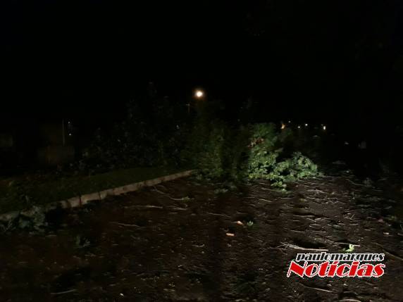 Um lado da Av. Santa Rosa em Três de Maio, ficou 

interrompido por galhos