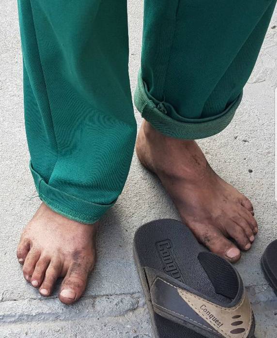 Adolescentes de 11, 14 e 15 anos eram forçados a trabalhar até 14 horas por dia em carvoaria em Mafra, segundo a polícia