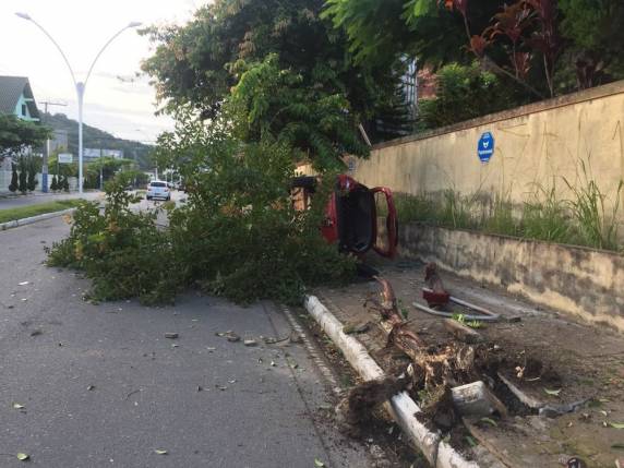 Veículo levou galhos da árvore junto até local onde parou, em outra árvore, na manhã deste sábado