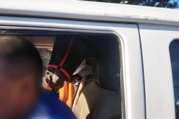 EPTC e Brigada Militar pararam veículo em uma barreira na Avenida Oscar Pereira