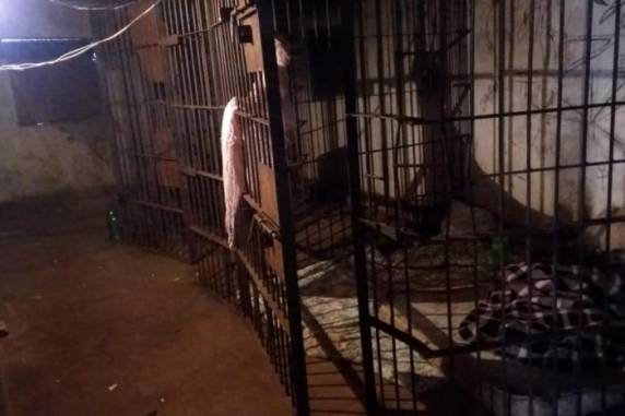 Cacique, comandante da polícia indígena e presidente do conselho, além de um quarto suspeito, foram detidos em operação da PF