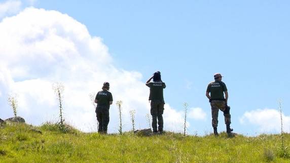 Ambientalista recebeu convite para entrar em grupos por engano. Em mais de um ano, ele monitorou e gravou as trocas de mensagens que comprovam prática de 

caça ilegal de diversas espécies no estado