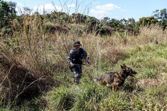 Buscas pelo fugitivo, conhecido como 