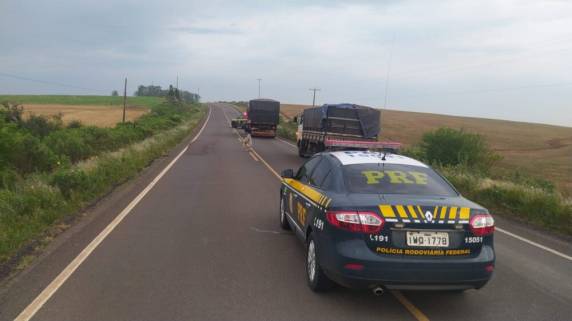 A ação foi a Polícia Rodoviária Federal
