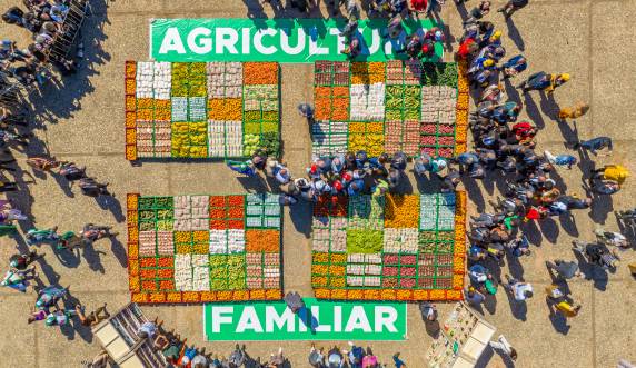 Governo federal lançou ainda a Estratégia Nacional de Segurança Alimentar e Nutricional, da qual a Companhia também faz parte