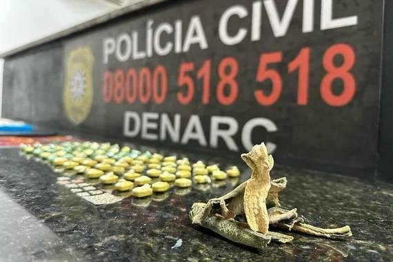 Apreensão da planta peiote, um cacto que era utilizado em rituais religiosos pela extinta civilização Asteca, ocorreu de forma inédita em abril na Capital. Chegada da droga seria uma 