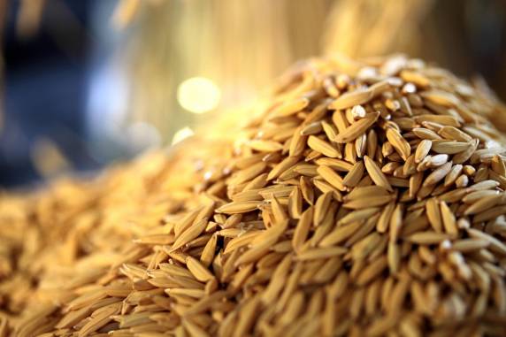 Ação vai beneficiar organizações de Nova Santa Rita, Eldorado do Sul e Viamão