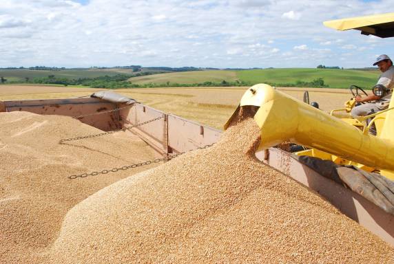 Para o Rio Grande do Sul, estatal prevê uma safra recorde de 38,29 milhões de toneladas