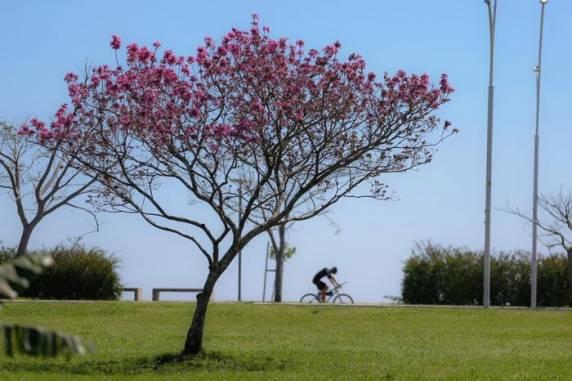 Frente fria de fraca intensidade irá se deslocar pelo oceano, trazendo um reforço do ar frio, mas não deve provocar chuva