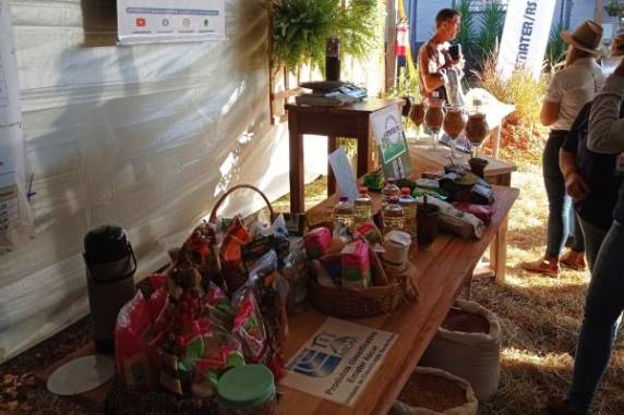 Espaço apresenta grãos, erva-mate certificada e óleos vegetais, evidenciando a importância da classificação para garantir qualidade, transparência e valorização da produção agrícola